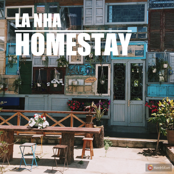 giá cả các homestay ở đà lạt